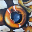 Augenblick eines australischen Fetzenfisches Acryl auf Leinwand;
30 x 30 cm